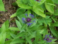 100_1699.jpg